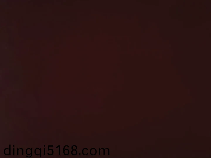 少年男仆库洛动画